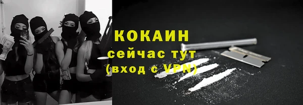 гидра Верея