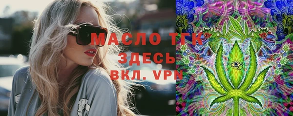 гидра Верея