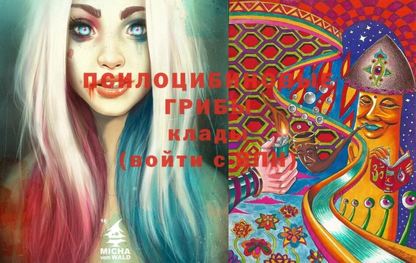 apvp Верхний Тагил