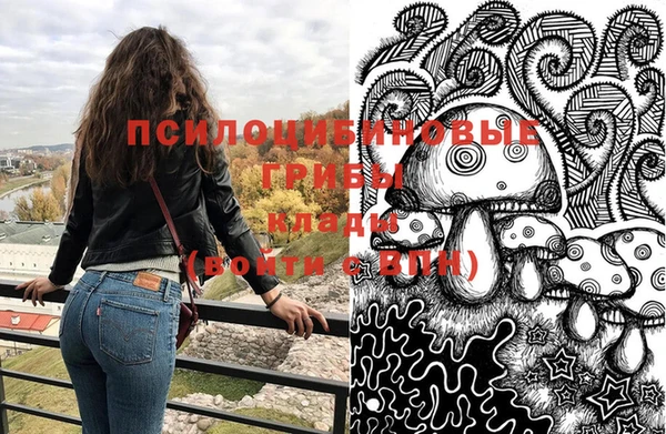 гидра Верея