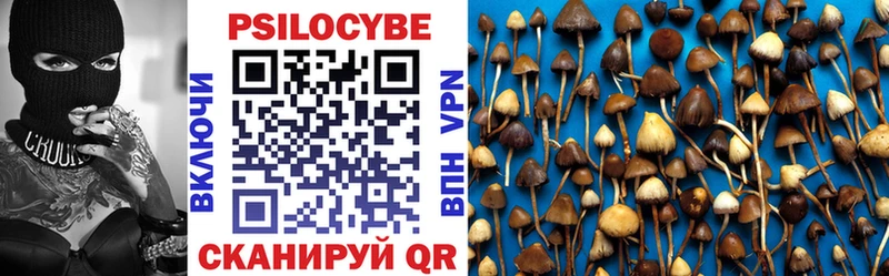 Купить где  Нязепетровск  Псилоцибиновые грибы Psilocybine cubensis 