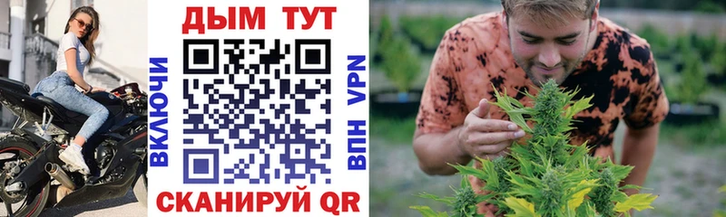 Марихуана Amnesia  Купить закладки  Нязепетровск 